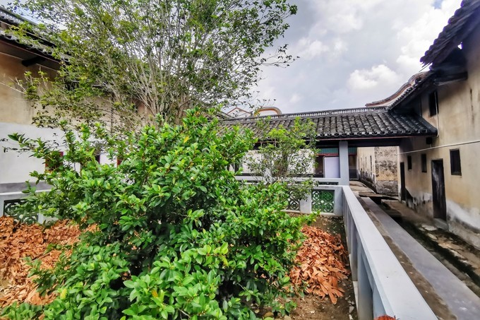 梅州采茶,梅州采茶体验