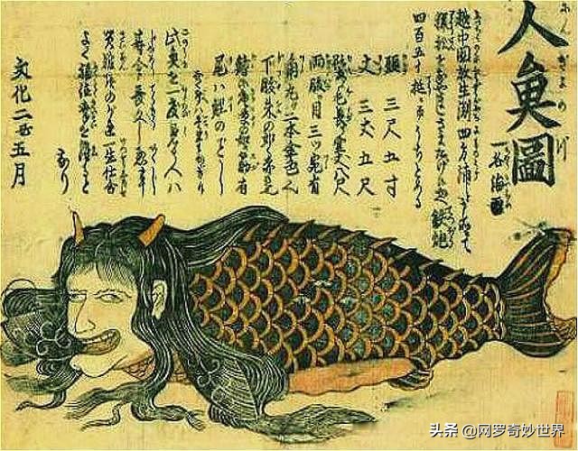 美人鱼真的存在吗科学家发现过吗,美人鱼它真的存在吗