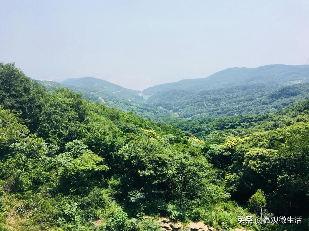 生活中你是什么样的性格,害羞的人有哪些心态