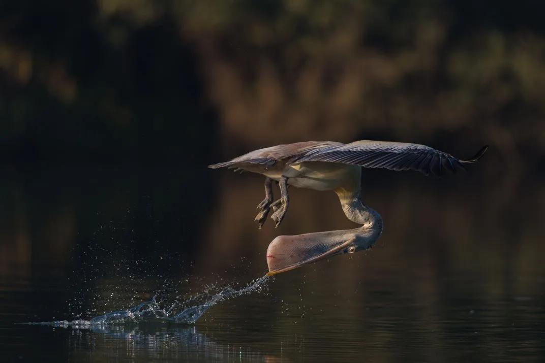 世界摄影构图大赛作品,摄影获奖的技巧和方法