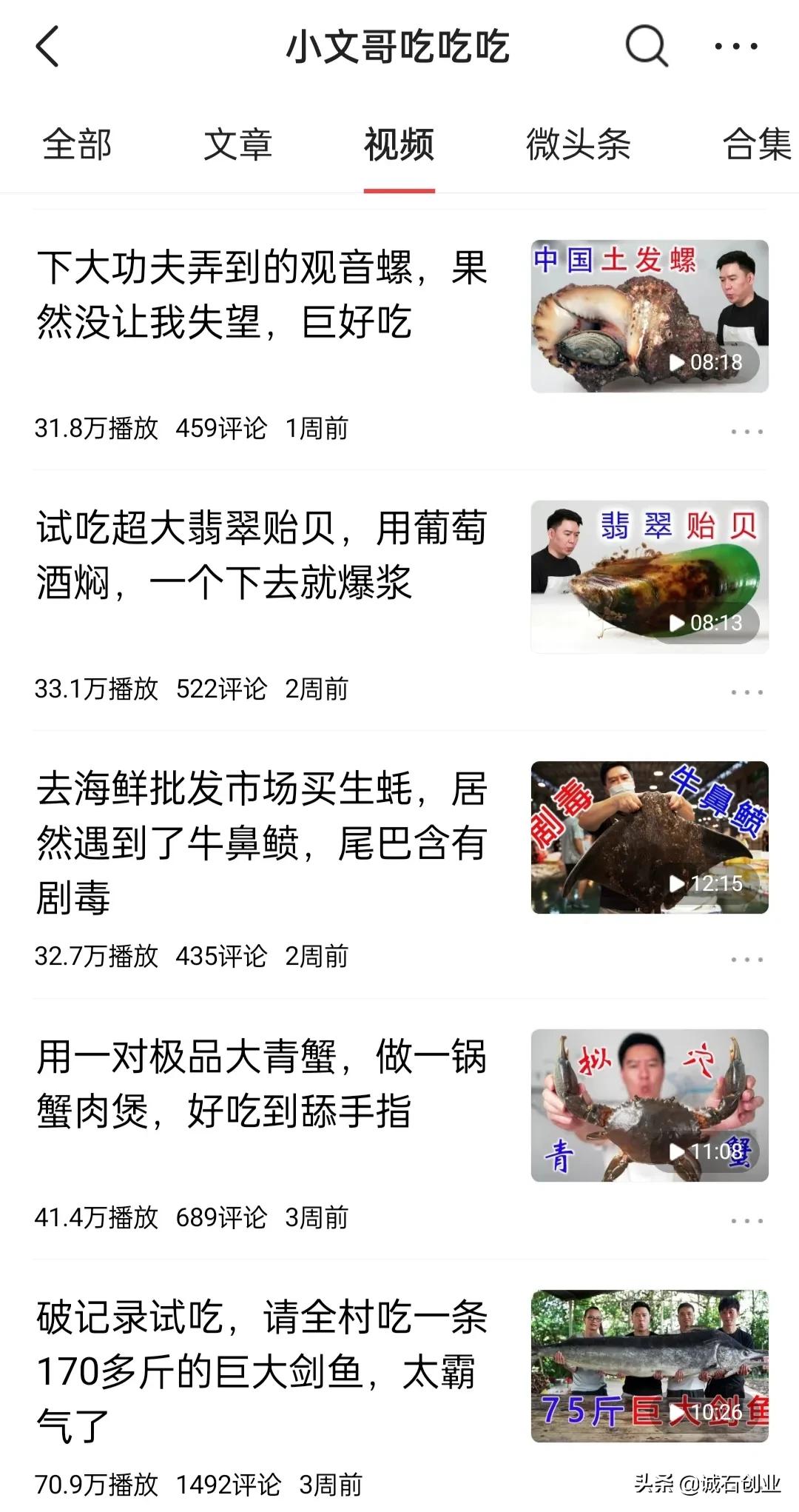 美食自媒体前十名,美食自媒体创业视频教程