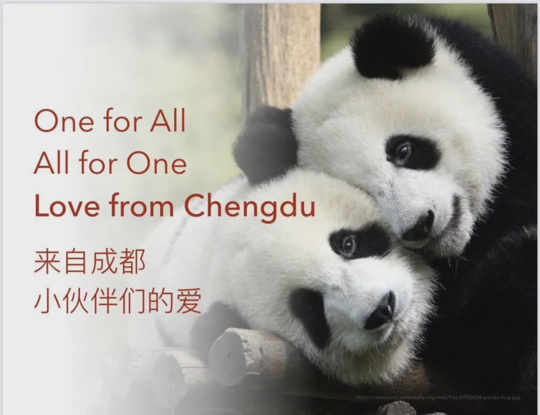 “温度”的师资，“韧度”的国际课程体系。青苗，你的不二之选