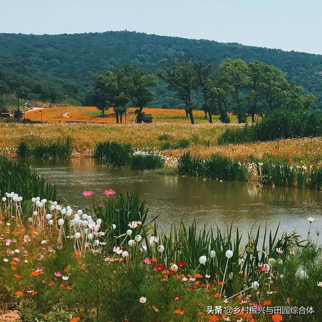 古朴悠然的禅意小镇,半农学院