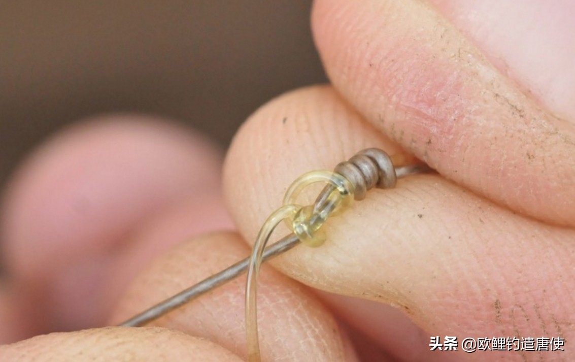 钓鱼也是一种技术,科学钓鱼的基本原理