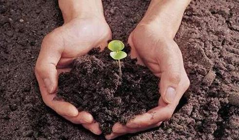 分解土壤固化物质,酸性土壤如何解磷解钾