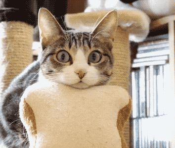 做过人流手术影响怀孕么,去医院做过人流会有记录吗