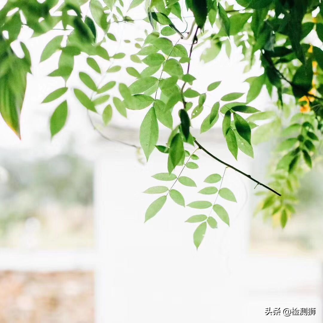 实验室耗材管理培训,实验室设备和耗材管理