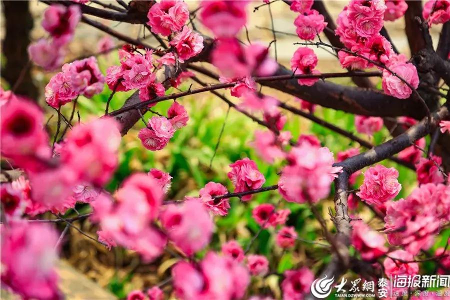 再上六天班是国庆假期吗,再上3天班放假了图片