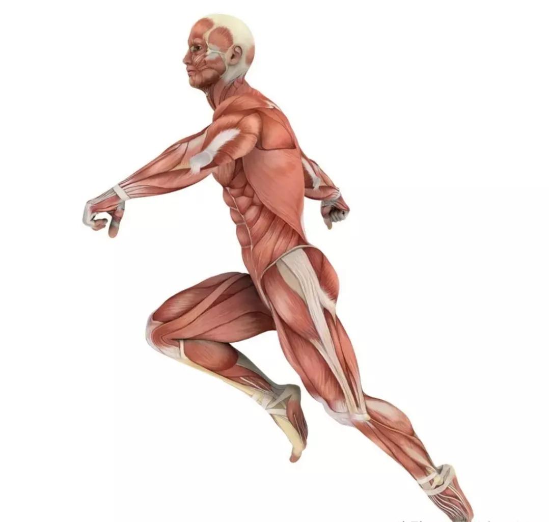 太极练功札记5,太极拳修行日志6式