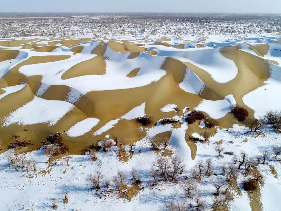 冬天的阿勒泰冰雪,冬天的雪冰雪奇缘