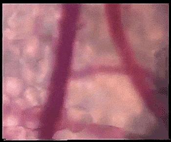 教科书照片与现实照片,教科书图片里的人