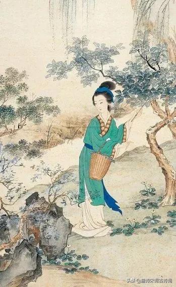女人如花花似梦,女人如花花似梦花有终时梦无终