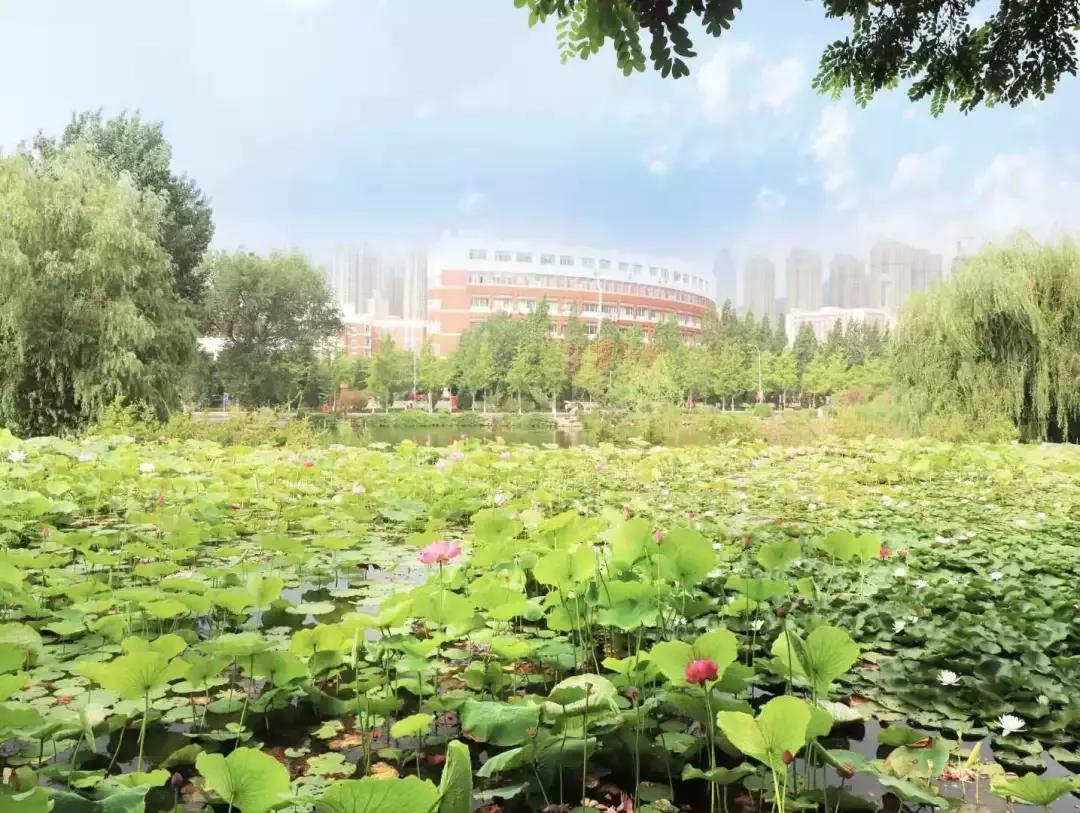 大连海事大学和辽宁省哪个级别高,大连海事大学辽宁省大学排名