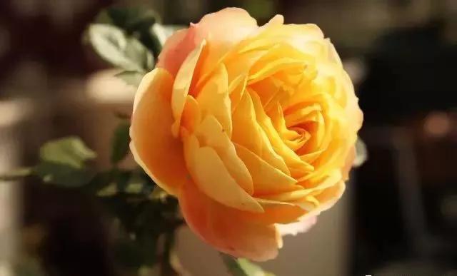 每天学习一点点女性小常识,每天学习一点点科普一下