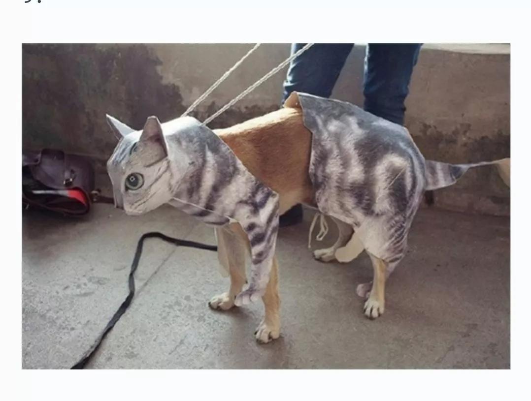 你打扫卫生时看到女客人正在洗澡，她也看到了你，这时你会干什么