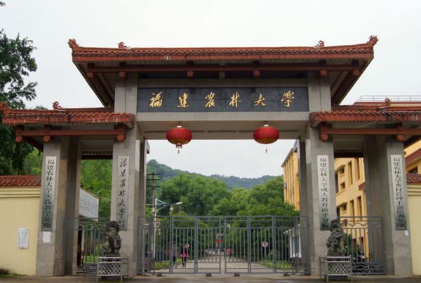 福建本科院校的校门都是怎么样的?华侨大学的最壮观