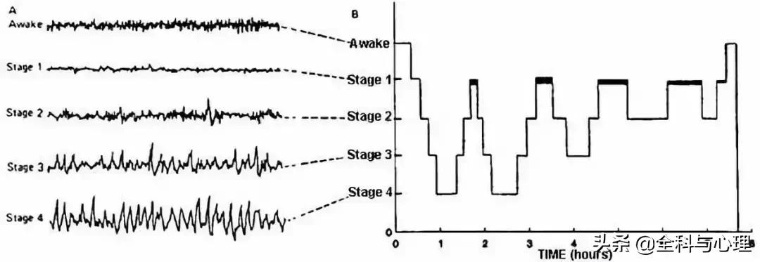 经常晚上睡觉鬼压床是怎么回事,入睡十几分钟频繁鬼压床