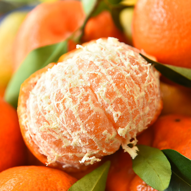 砂糖橘正不正宗,沙糖桔假货都有哪些品种