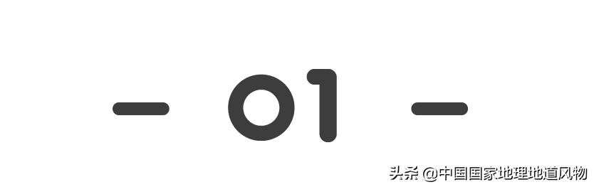 牛牛真的有多牛,中国人吃的牛肉是什么牛