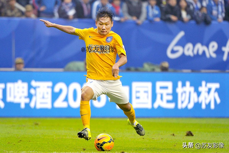 江苏队舜天,江苏舜天队徽2012年