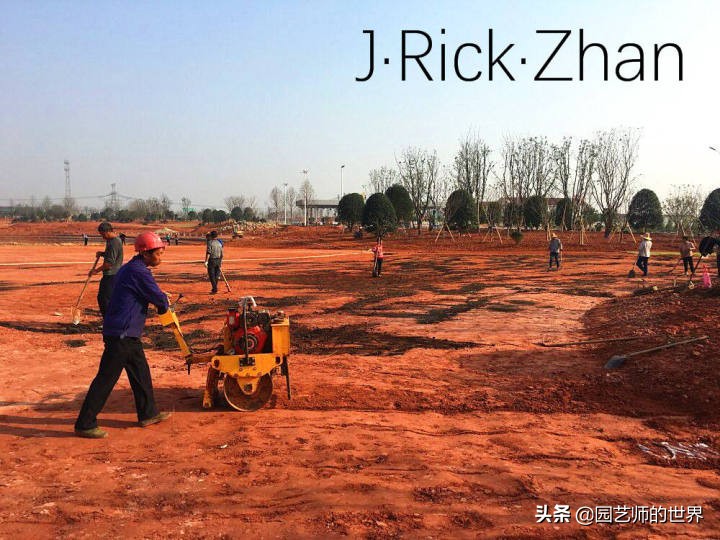 怎样种植草坪技术,果岭草坪的种植养护方法及技巧