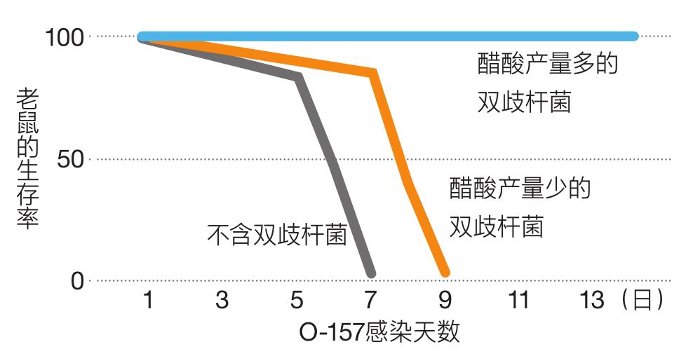 大肠健康管理,大肠杆菌对身体的益处