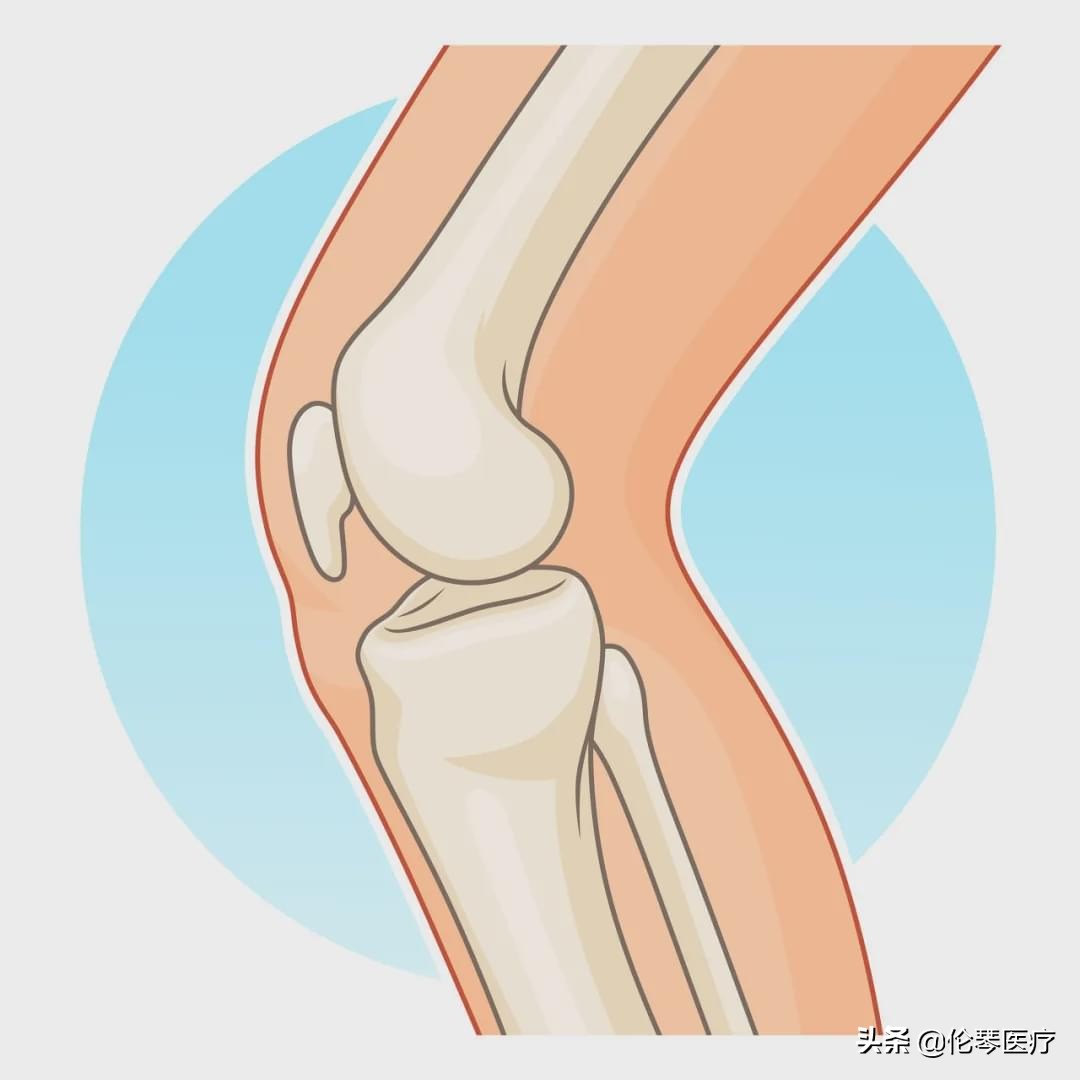 2022年恶性肿瘤筛查与预防指南,常见恶性肿瘤的预防和筛检