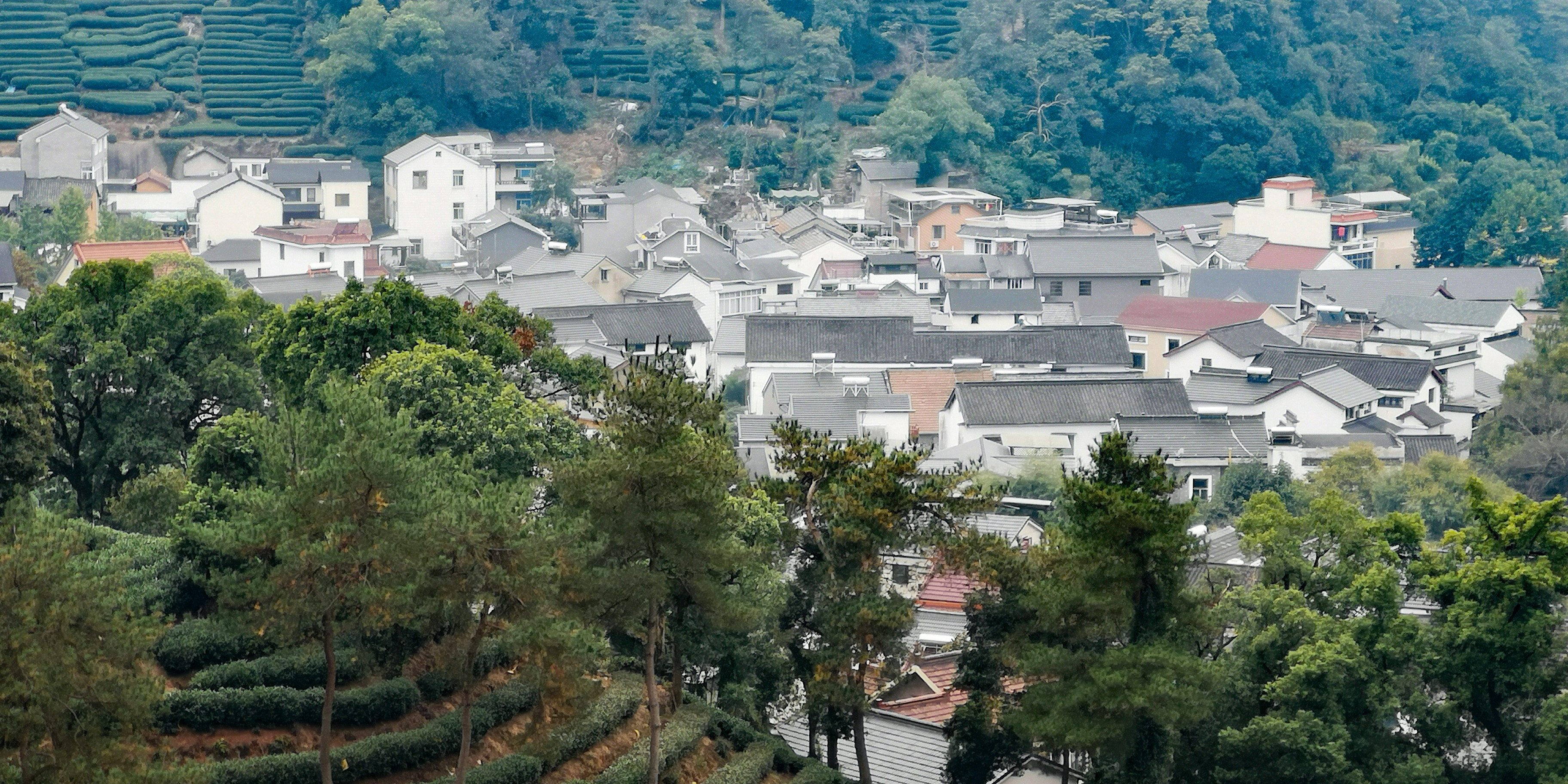 带你游杭州,从南京出发杭州周边城市旅游攻略