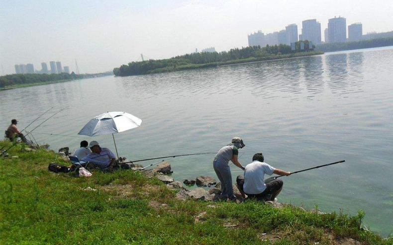 水库钓不上鱼是什么原因,水库钓鱼不咬钩怎么回事