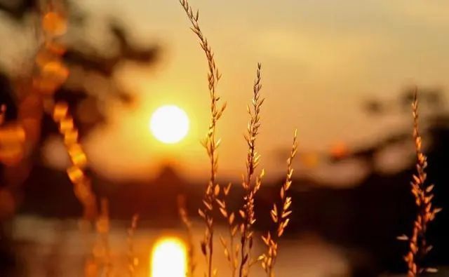 真正有城府的人的五句话,有城府的人往往不动声色