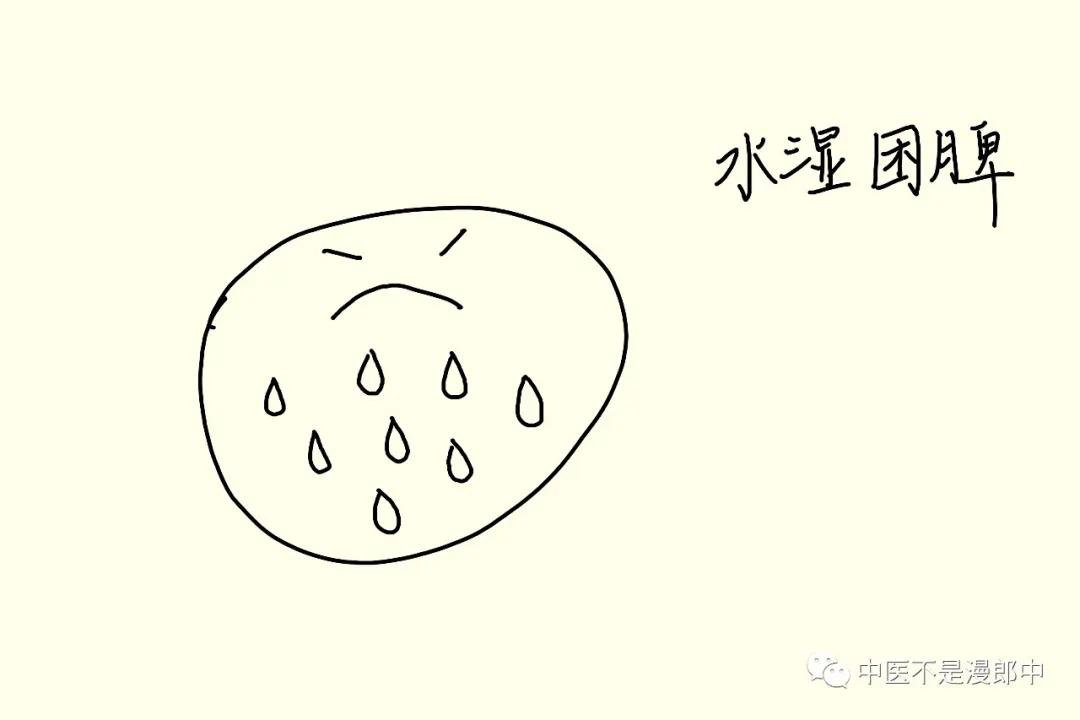 薏苡仁祛湿效果怎么样,被拉下神坛的特效药