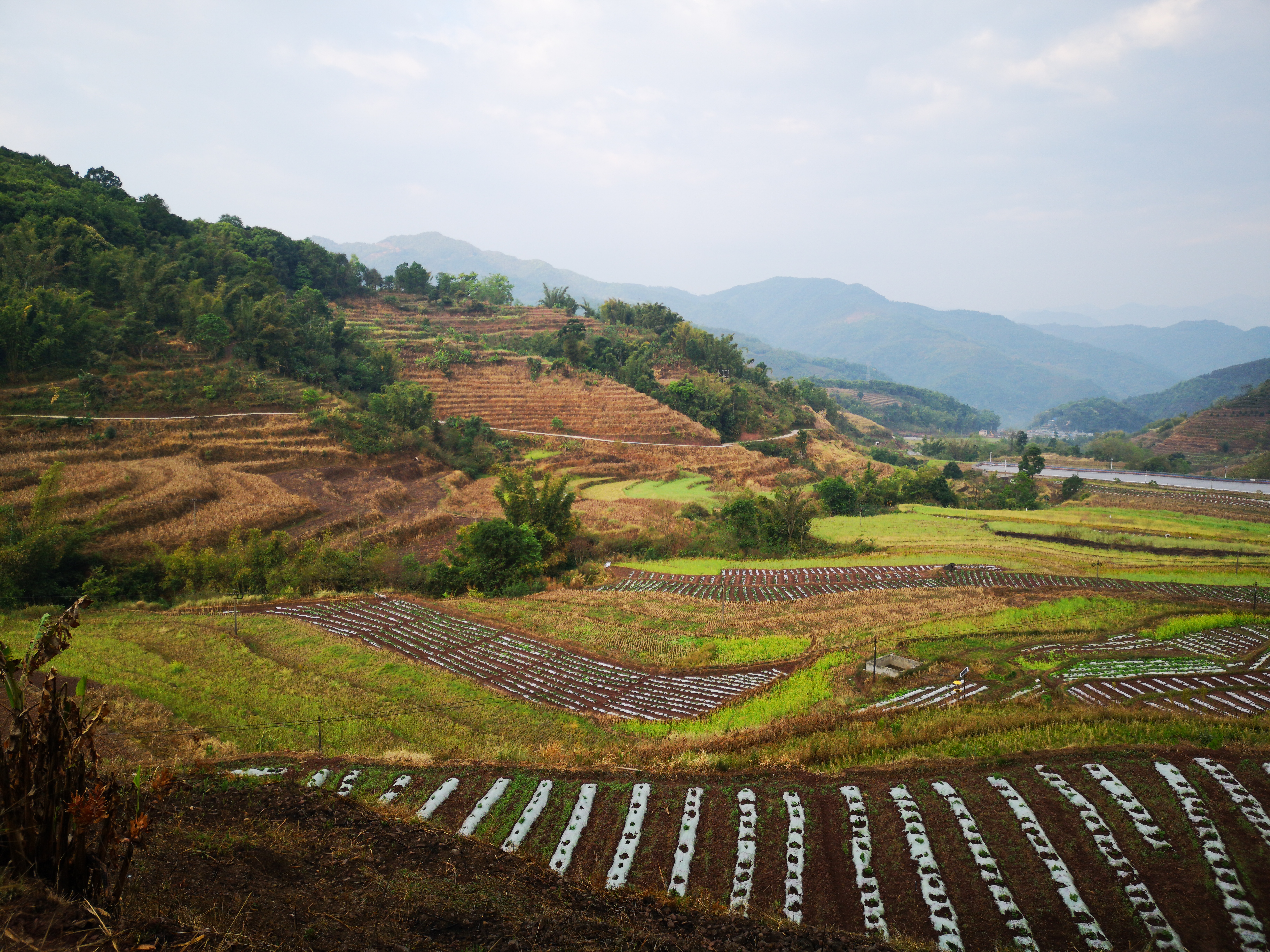 上海出发云南自驾游详细攻略,安徽出发自驾游云南最佳路线图