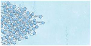 家长们，别再羞答答了，快亲手替孩子填上“*启蒙性**”这个坑吧！