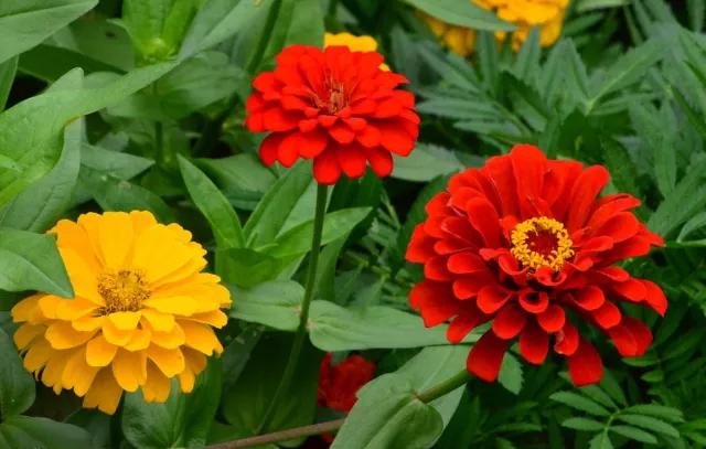 彭山景区活动购票,常德彭山景区游玩攻略图