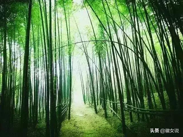 合肥:家住肥东,牛哄哄