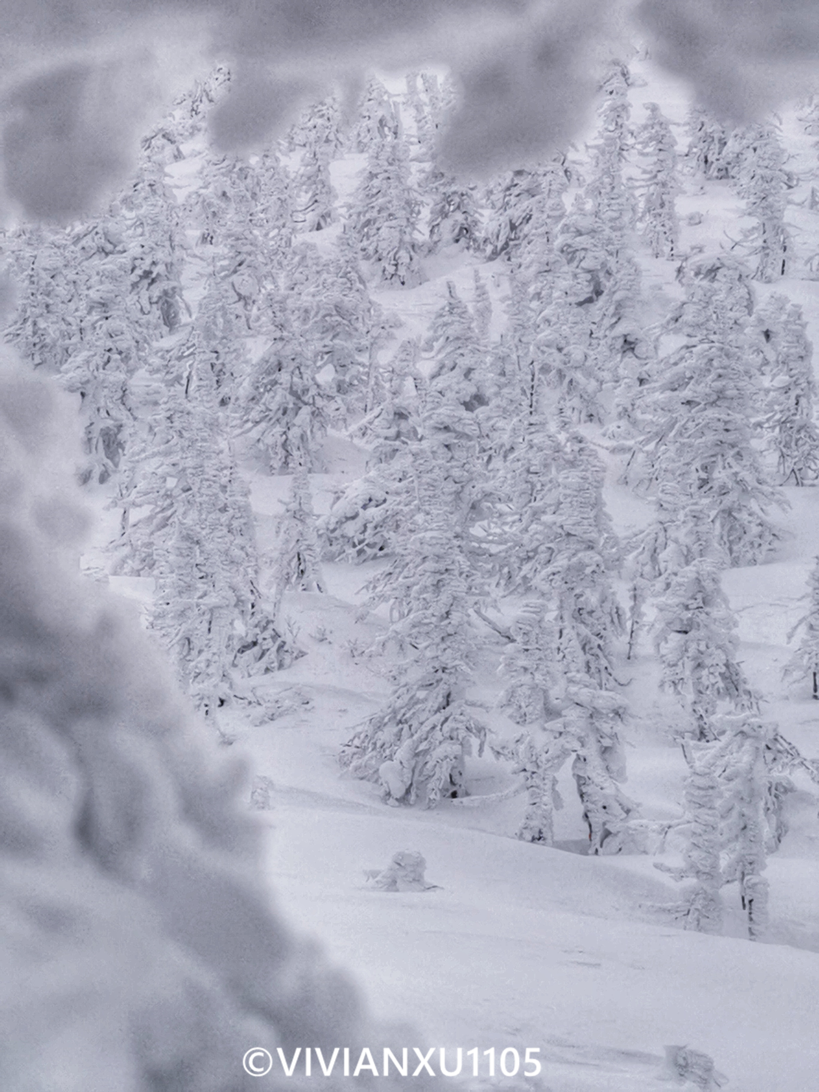 塑料母女深度解锁日本东北秋田县山形县