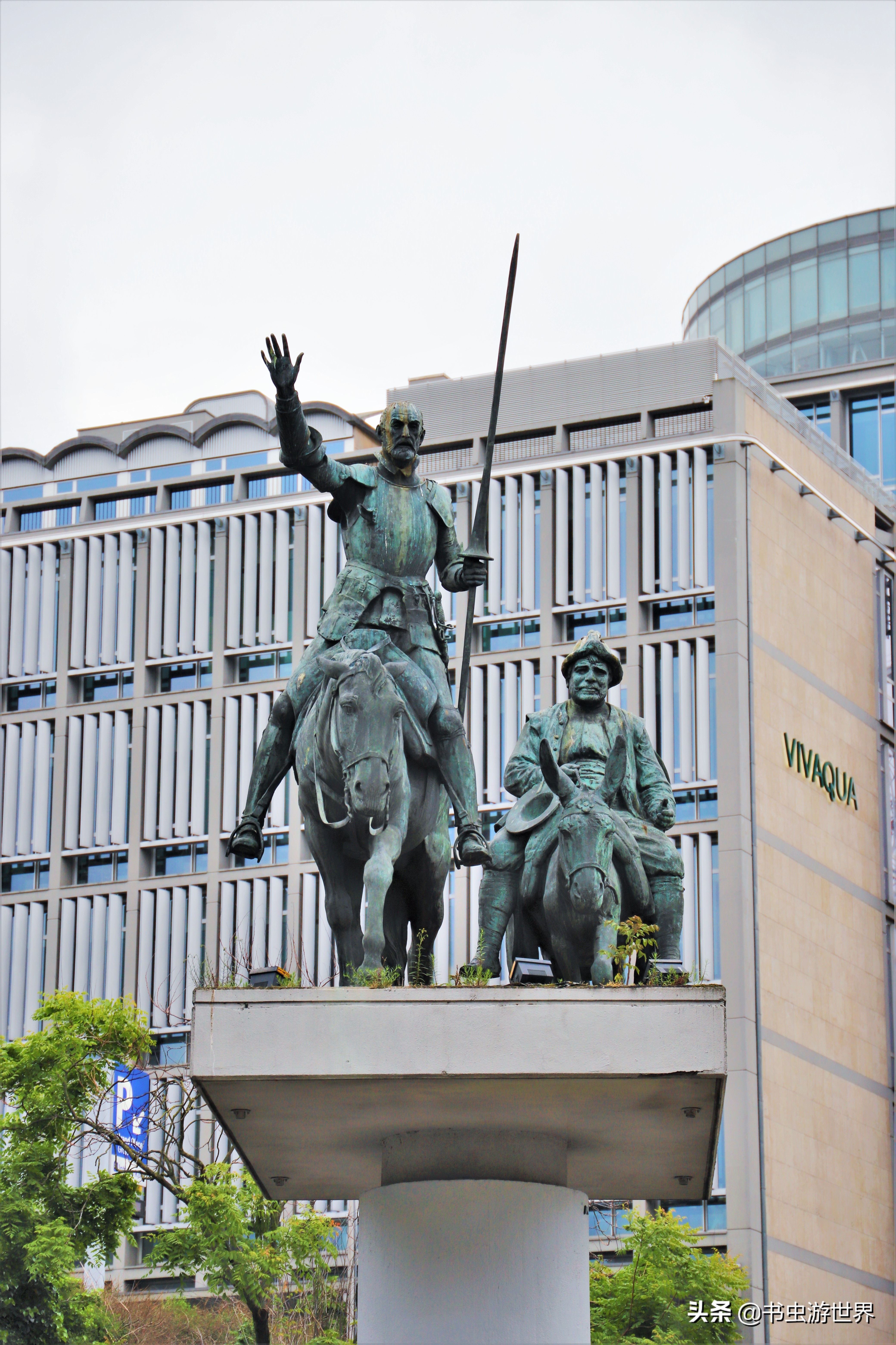 同样是布偶猫差别咋就这么大,布鲁和布鲁