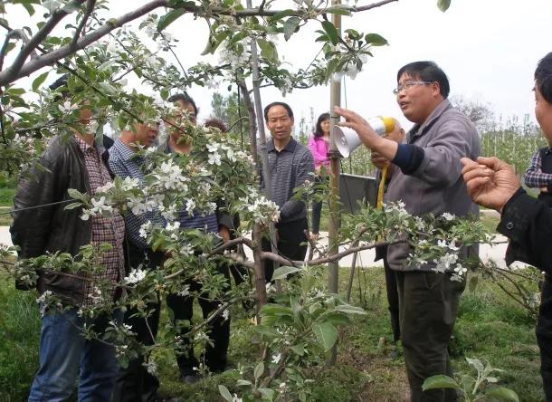 新时代文明实践志愿服务项目库,新时代文明实践志愿服务项目大赛