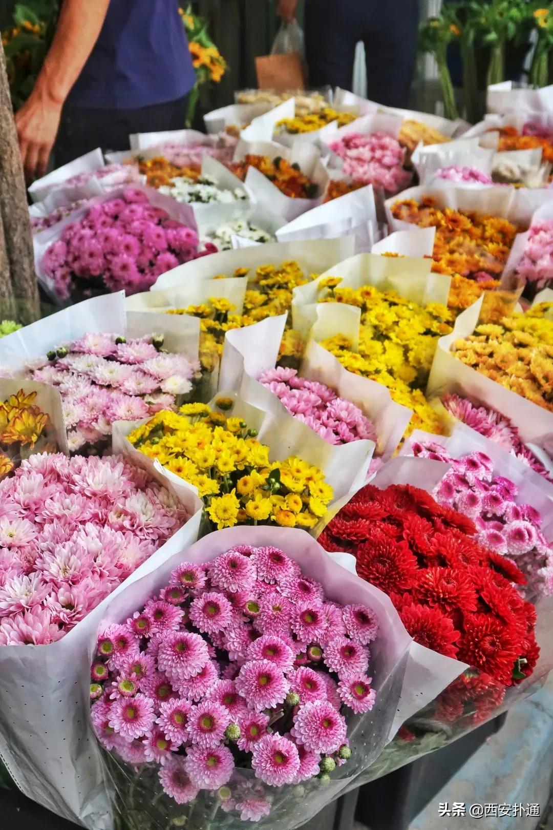 西安花市怎么买花便宜,西安最新花市