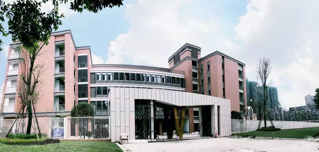 温江有哪些好的民办小学,成都温江区民办小学排名