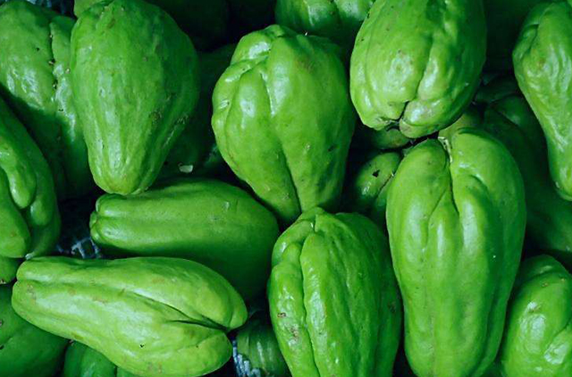 佛手瓜叶子黄是怎么回事,佛手瓜叶子发黄怎么补救