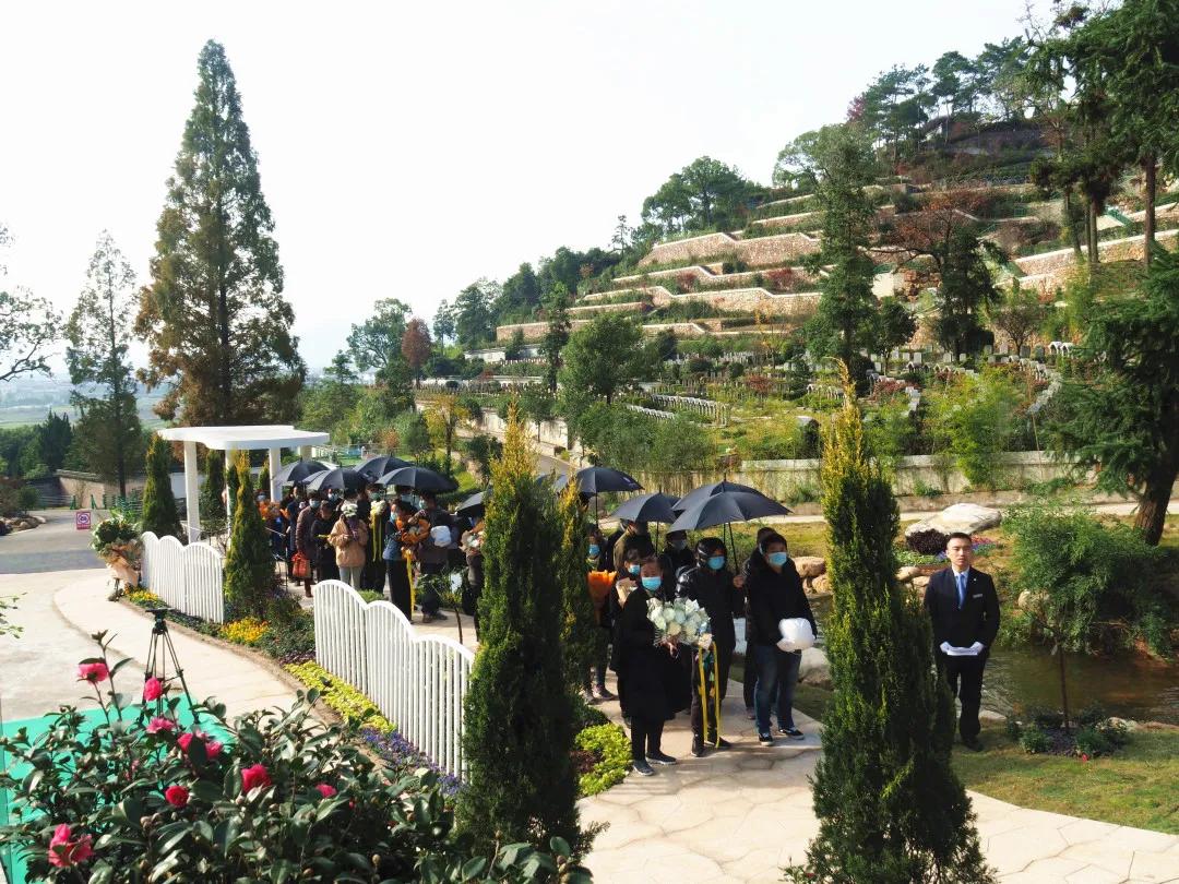 同泰第四届集体树葬圆满举行，21位树葬人士回归自然