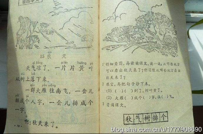 珍藏版：1987-1988年人教版五年制小学语文全集