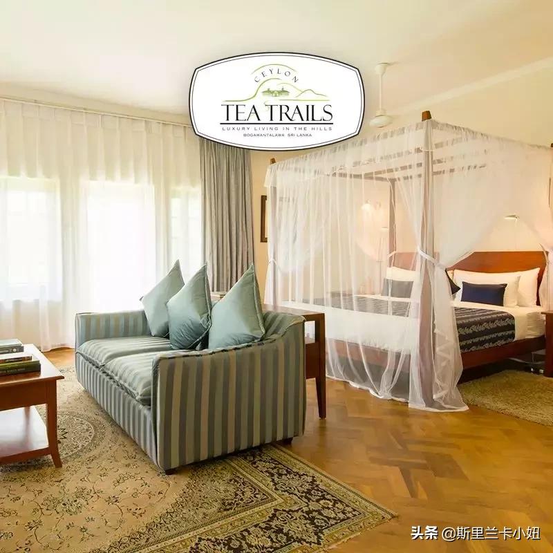 锡兰藏着3家罗莱夏朵：英式茶园野奢帐篷和悬崖海滨，随时去隐居