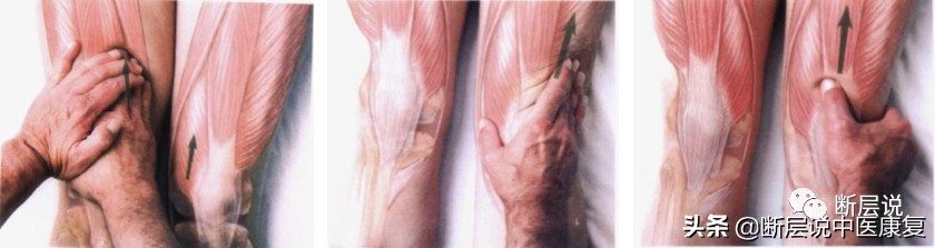 天气冷运动护膝推荐哪种,天气冷了保暖护膝