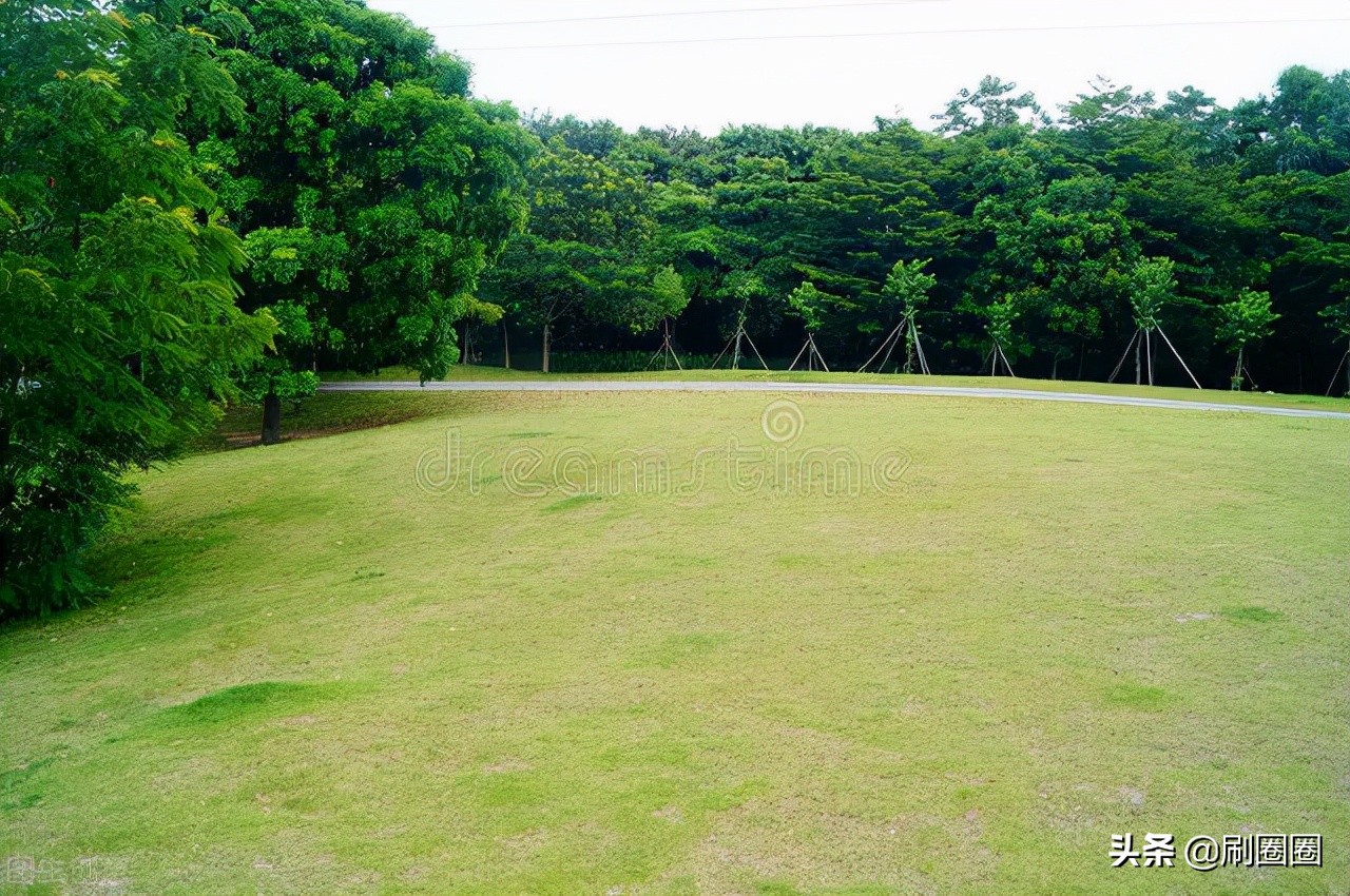 六年级作文一单元变形记范文,六上第一单元作文变形记优秀范文