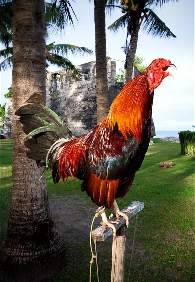 60岁养生六句话,60后养生观念