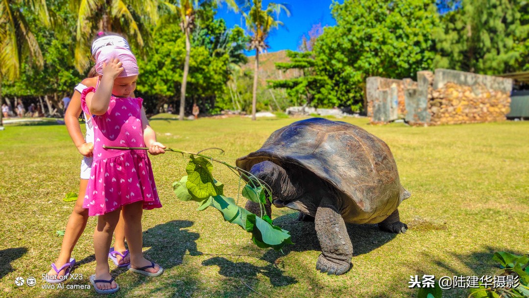 塞舌尔克里奥尔人,人间伊甸园云赏奢华度假地塞舌尔