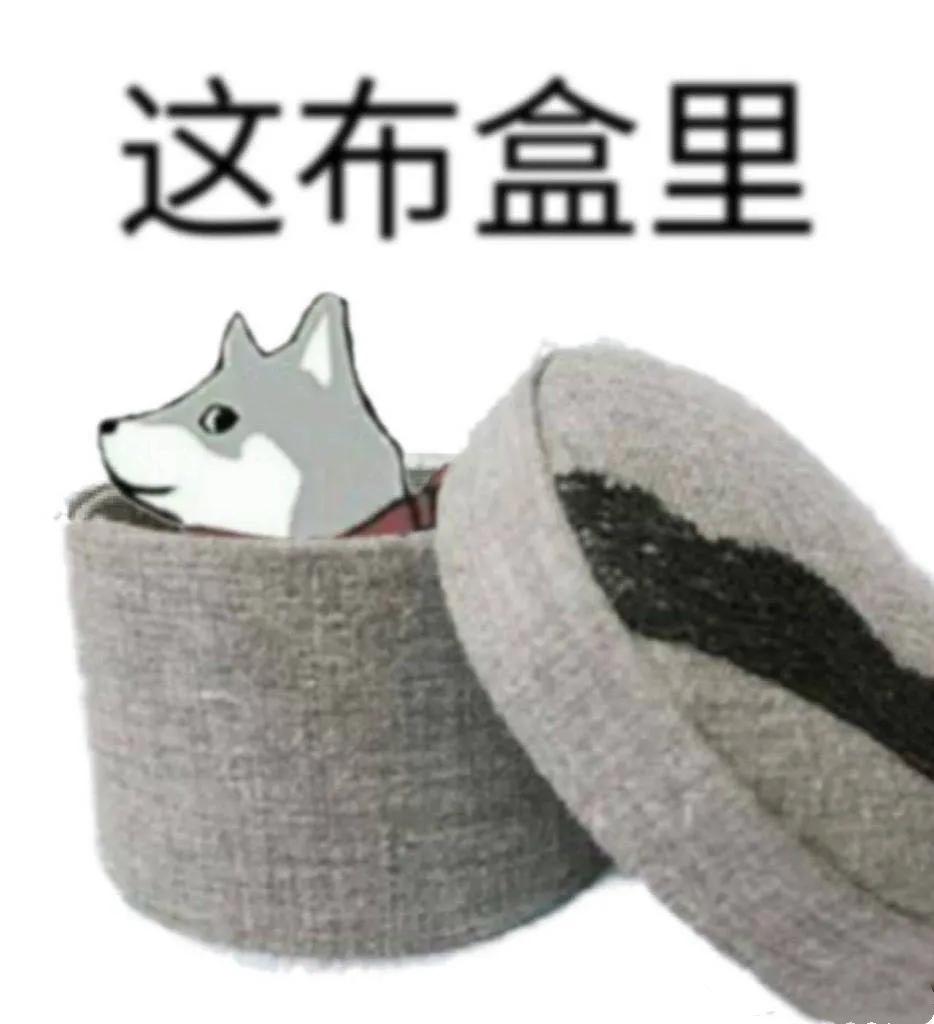 留学的穿衣风格,怎么一眼辨别留学生