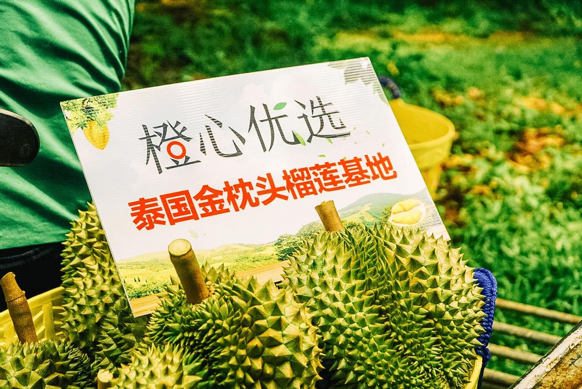 泰国榴莲未来5年前景,泰国榴莲进口中国需要多少钱关税